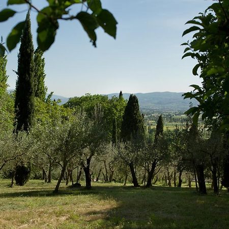 Villa Degli Ulivi アッシジ エクステリア 写真