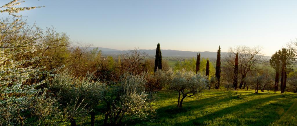 Villa Degli Ulivi アッシジ 部屋 写真