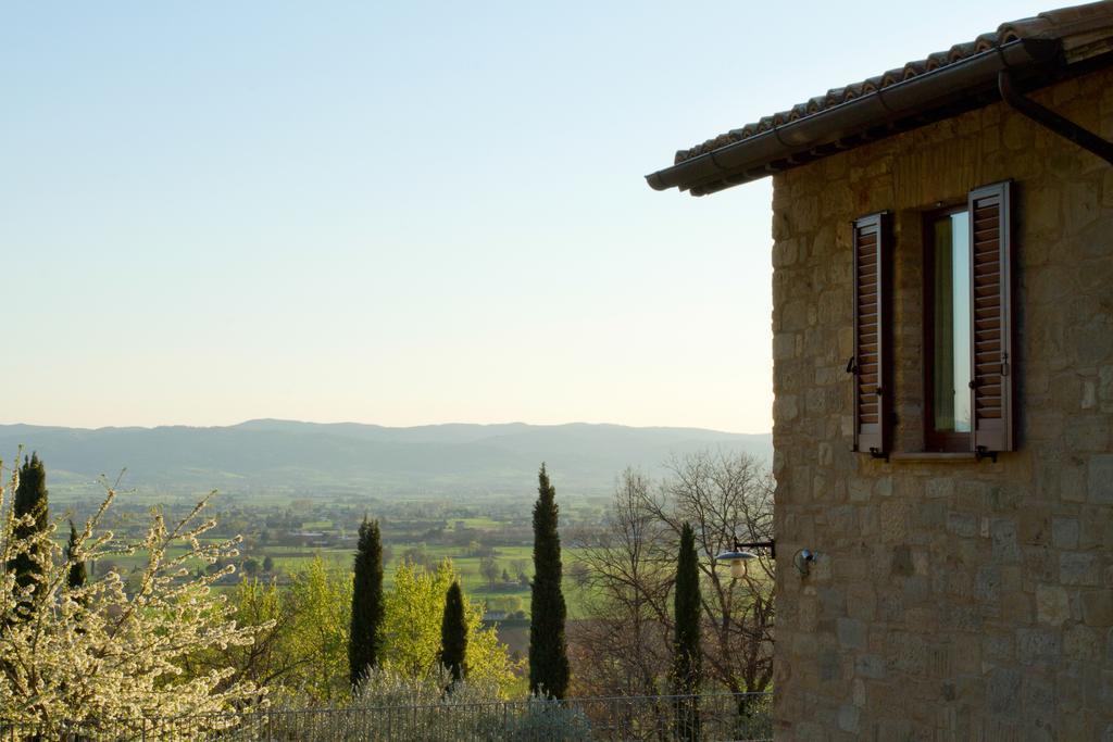 Villa Degli Ulivi アッシジ エクステリア 写真