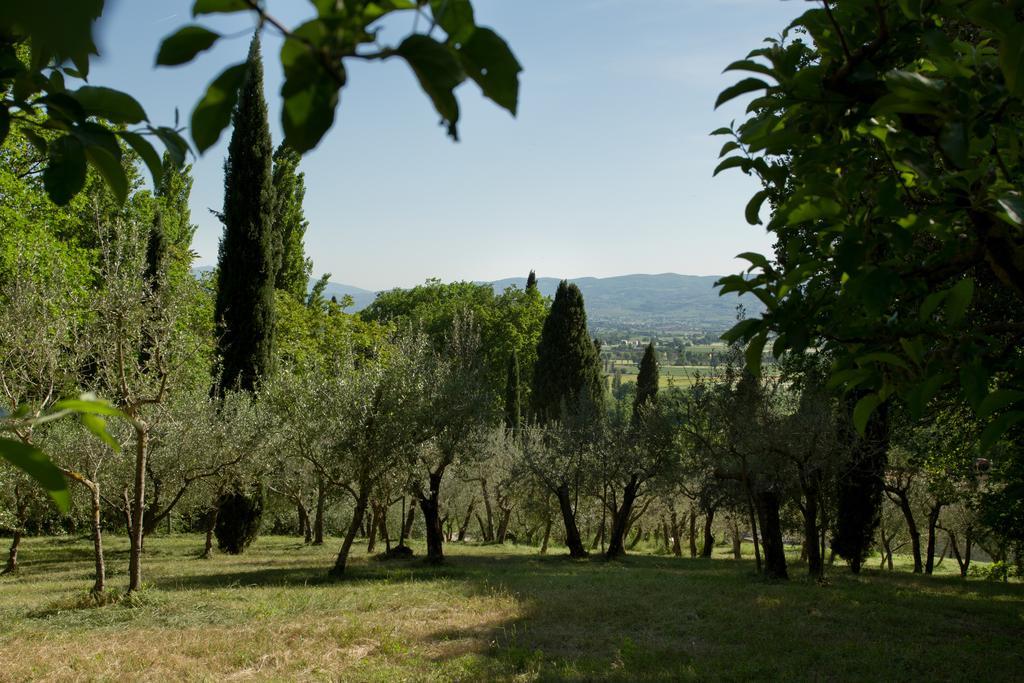 Villa Degli Ulivi アッシジ エクステリア 写真