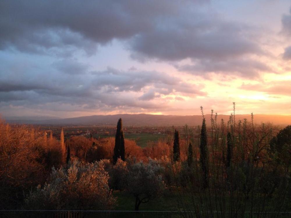 Villa Degli Ulivi アッシジ エクステリア 写真